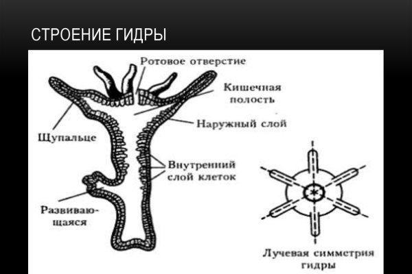 Как вернуть аккаунт на кракене
