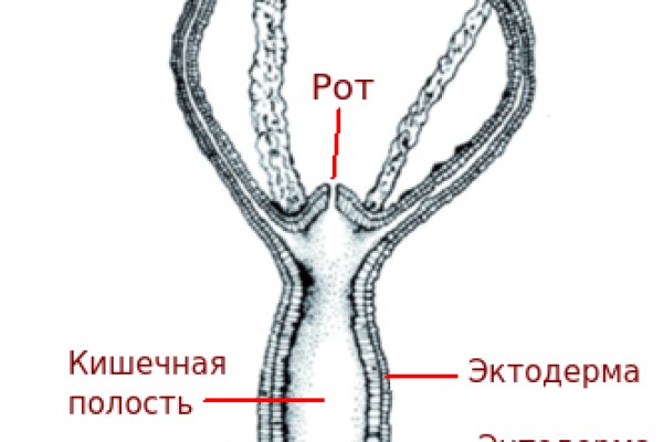 Kraken 2025 ссылка
