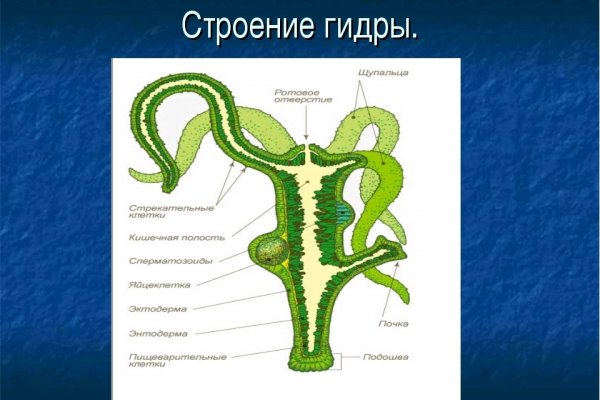 Kraken ссылка kraken clear com