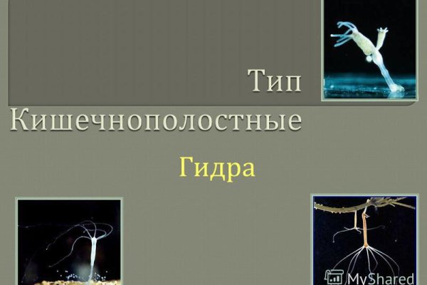 Кракен актуальная ссылка тор